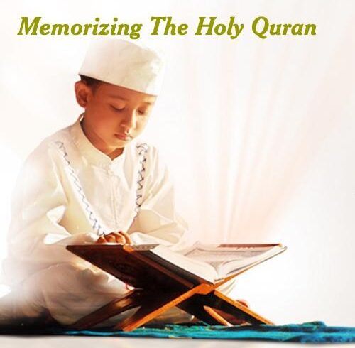 whatsapp image 2025 11 17 at 11.46.54 am